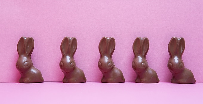 Chocolate bunnies in a row on pink background.