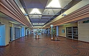 Palm Springs Mall