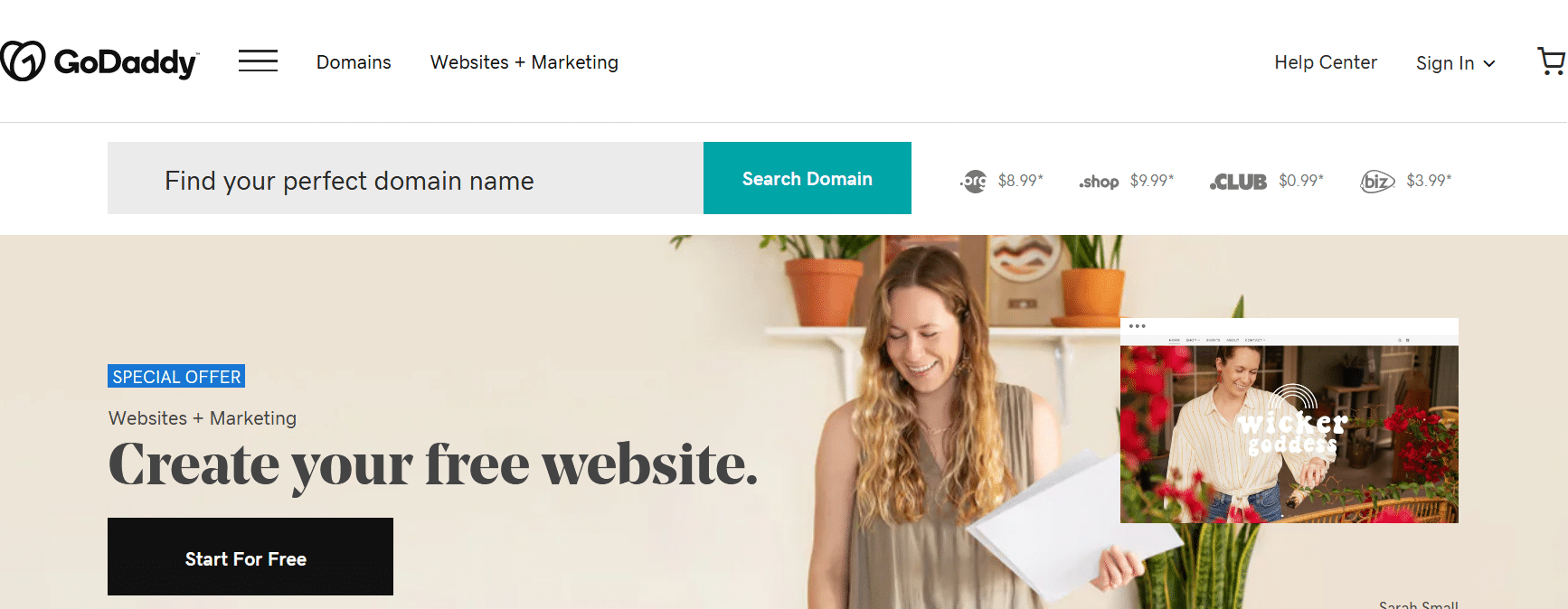 GoDaddy domain