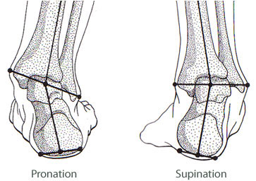 pronation-supination