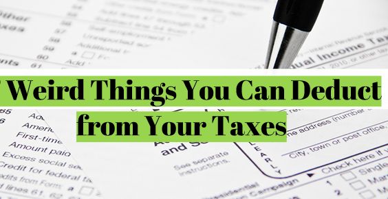 7 Weird Things You Can Deduct from Your Taxes