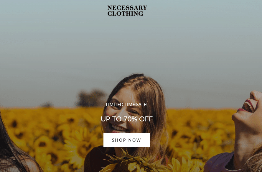 Necessary Clothing- Online