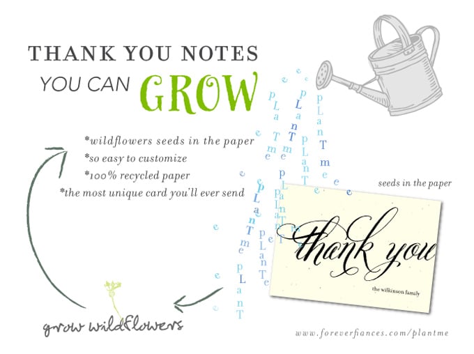 Thank_notes_grow_wildflowers