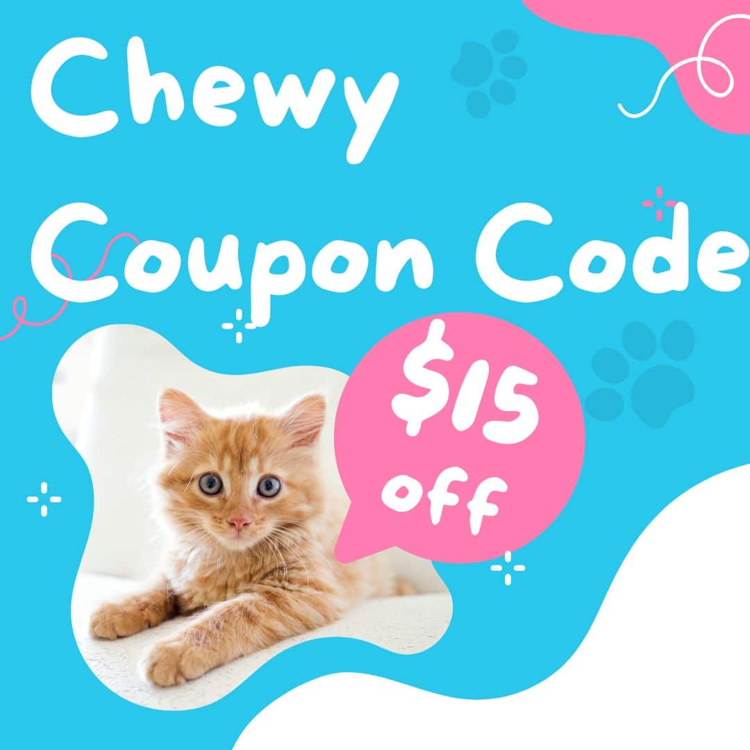 Chewy Coupon Code 15 off