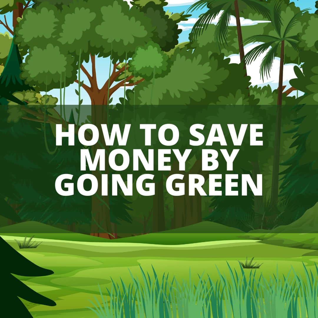 How To Save Money By Going Green