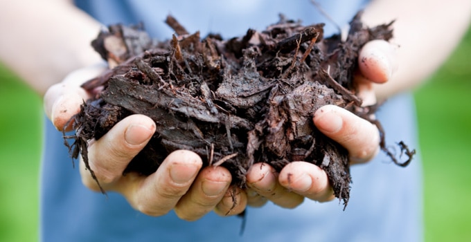 Consider the costs of your waste, then consider composting